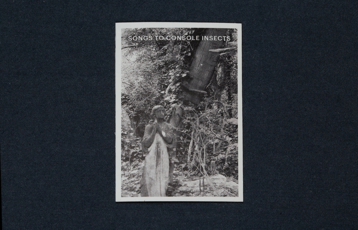 Simon Parris - songs to console insects