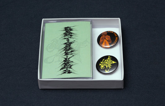 Simon Parris - songs to console insects