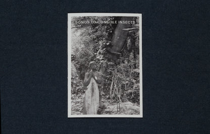 Simon Parris - songs to console insects